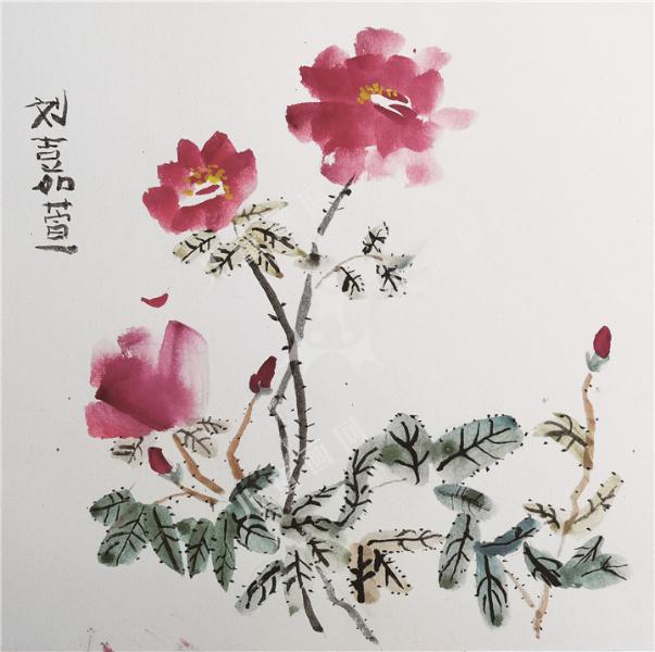 玫瑰