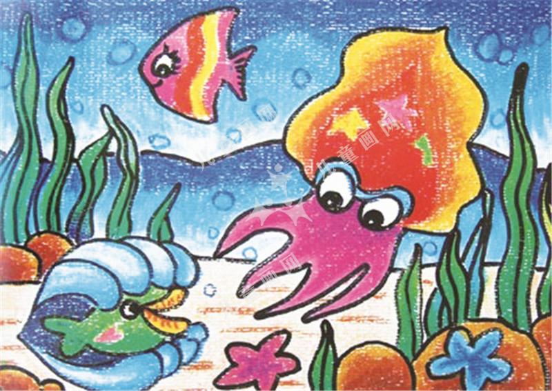 海洋奥秘