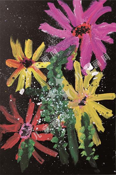非洲菊