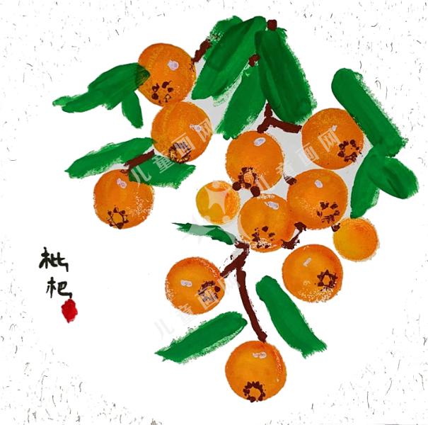 枇杷