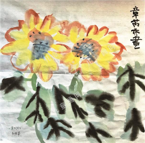 向日葵