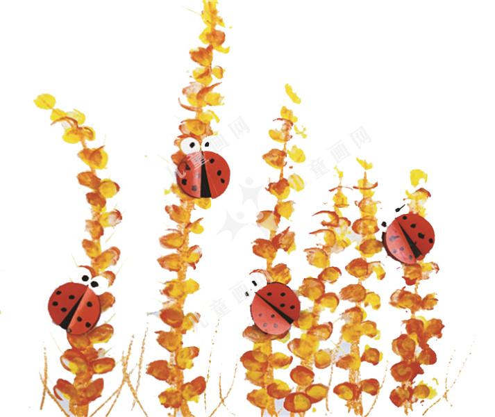 麦田里的小瓢虫