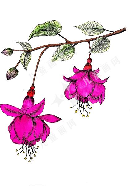 花