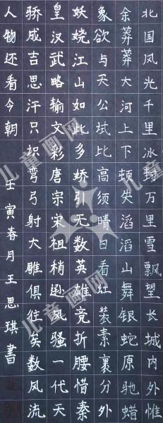 沁园春·雪