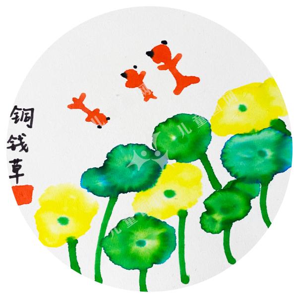 铜钱草