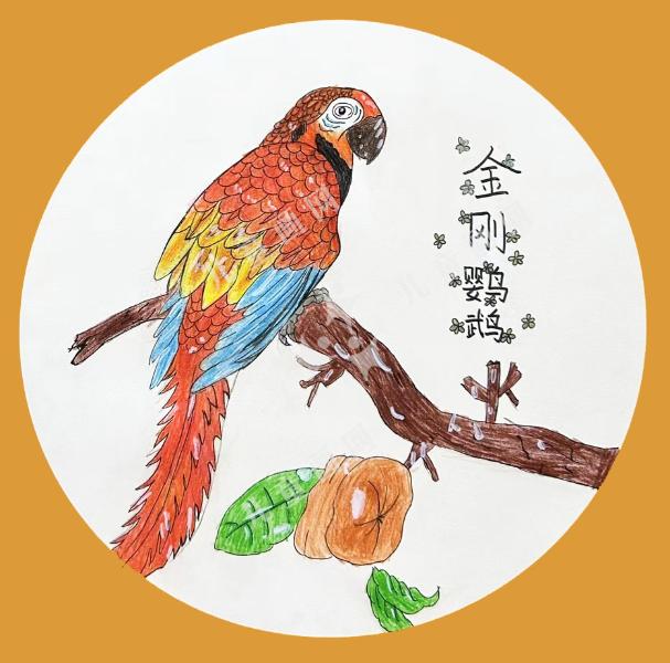 鹦鹉
