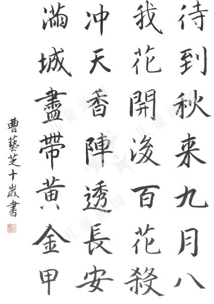 不第后赋菊