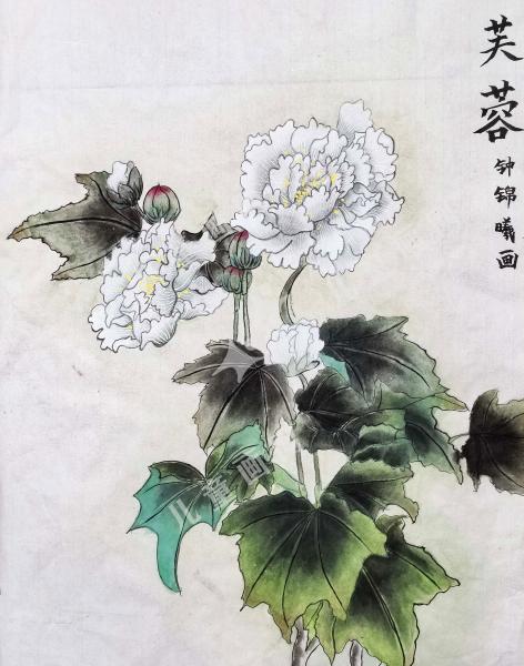 芙蓉图