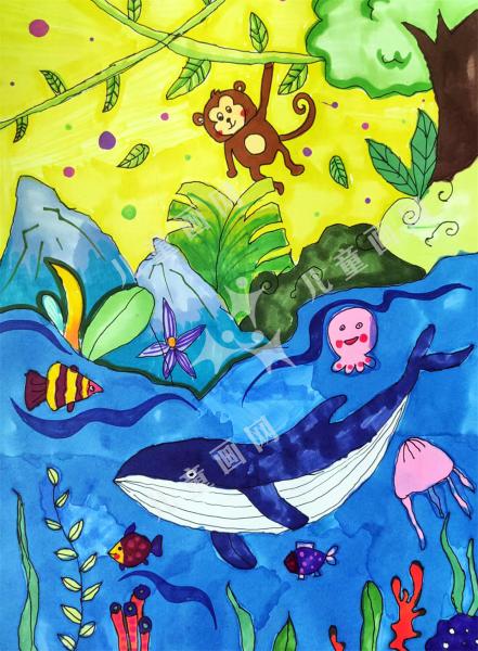 神秘的海洋世界