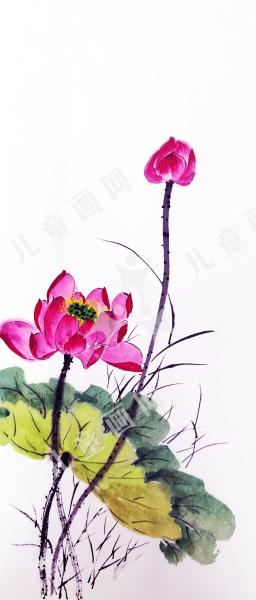 夏荷