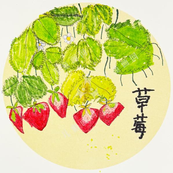 草莓