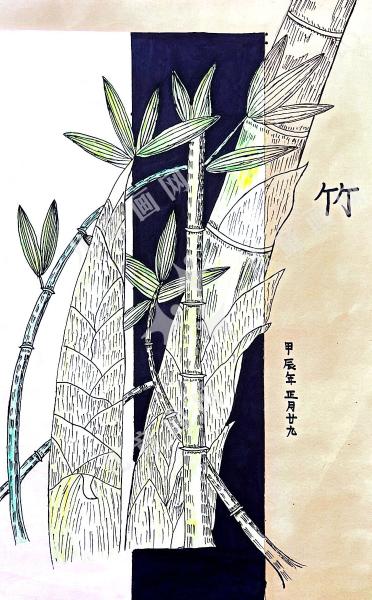 竹
