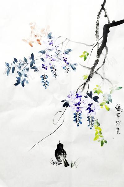 藤带紫贵