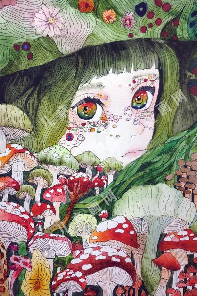 绿野仙踪