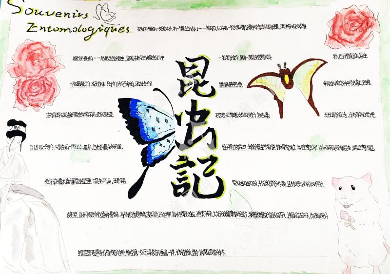 昆虫记